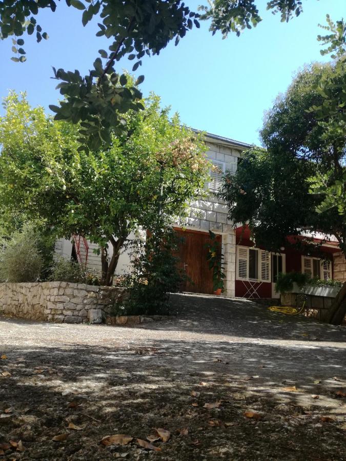 Apartment Petrovic 코츌라 외부 사진