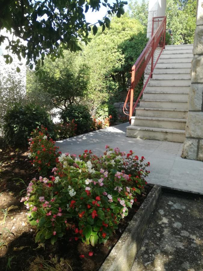 Apartment Petrovic 코츌라 외부 사진